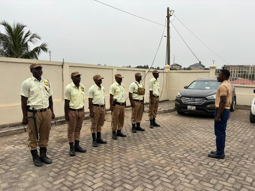 Professional Security